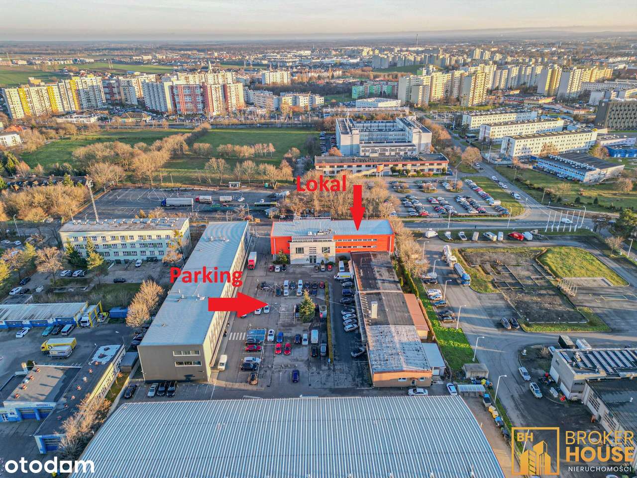 Duże pomieszczenie biurowe open space na wynajem - Pełny obrazek: 3/18