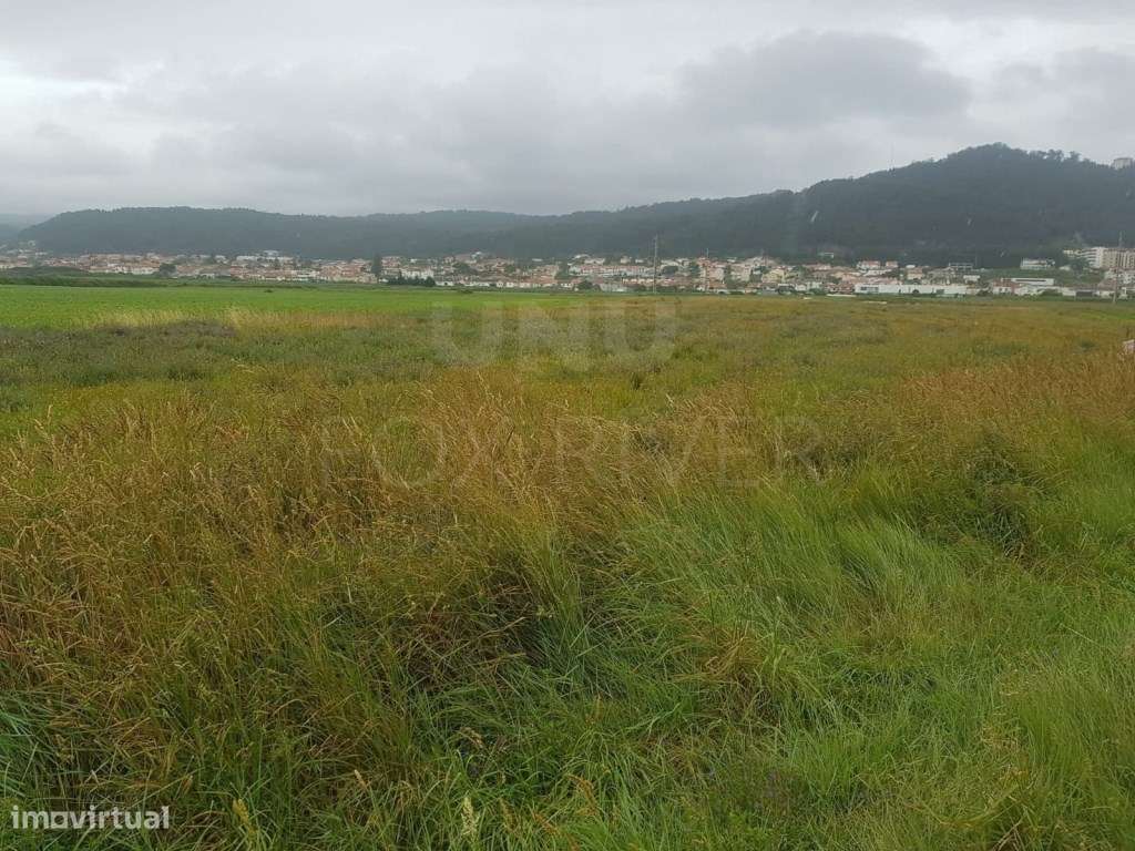 Terreno Agrícola para Venda - Areosa, Viana do Castelo - Grande imagem: 5/9