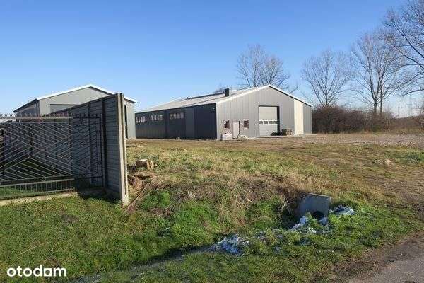 Działka, 18 250 m², Przysucha - Pełny obrazek: 4/12