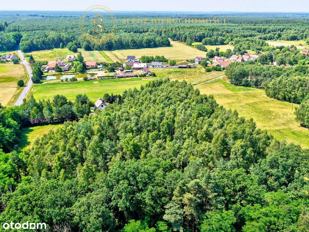 1,2 ha Działka Budowlana 45 min od Wrocławia + Las-11