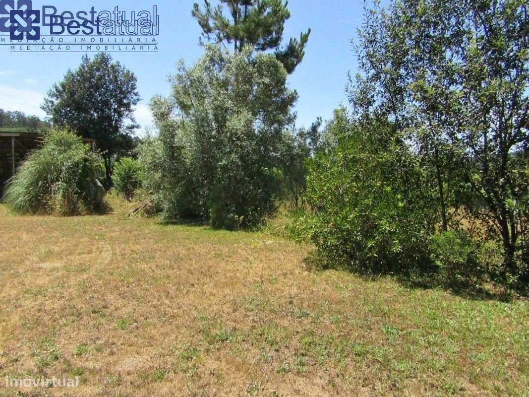 Terreno 4000 m2-c/1500 m2 de área p/construção Moradias-A 3 Min. do-22