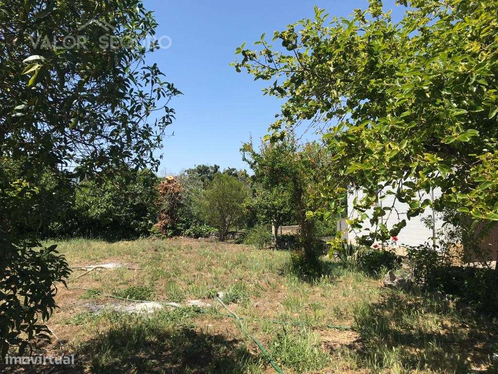 Casa rural para recuperação em Ansião-9