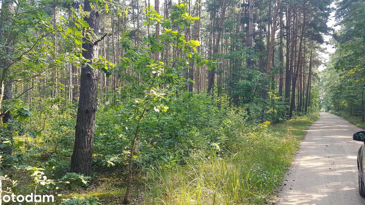 Działka, 30602.0 m², Mirowice - Pełny obrazek: 5/5