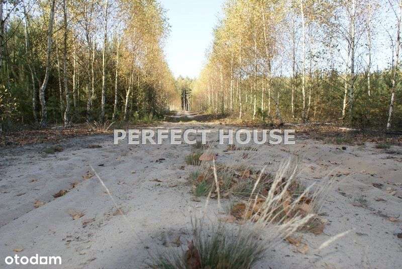 Działki rezydencjalne w malowniczej okolicy - Pełny obrazek: 5/15