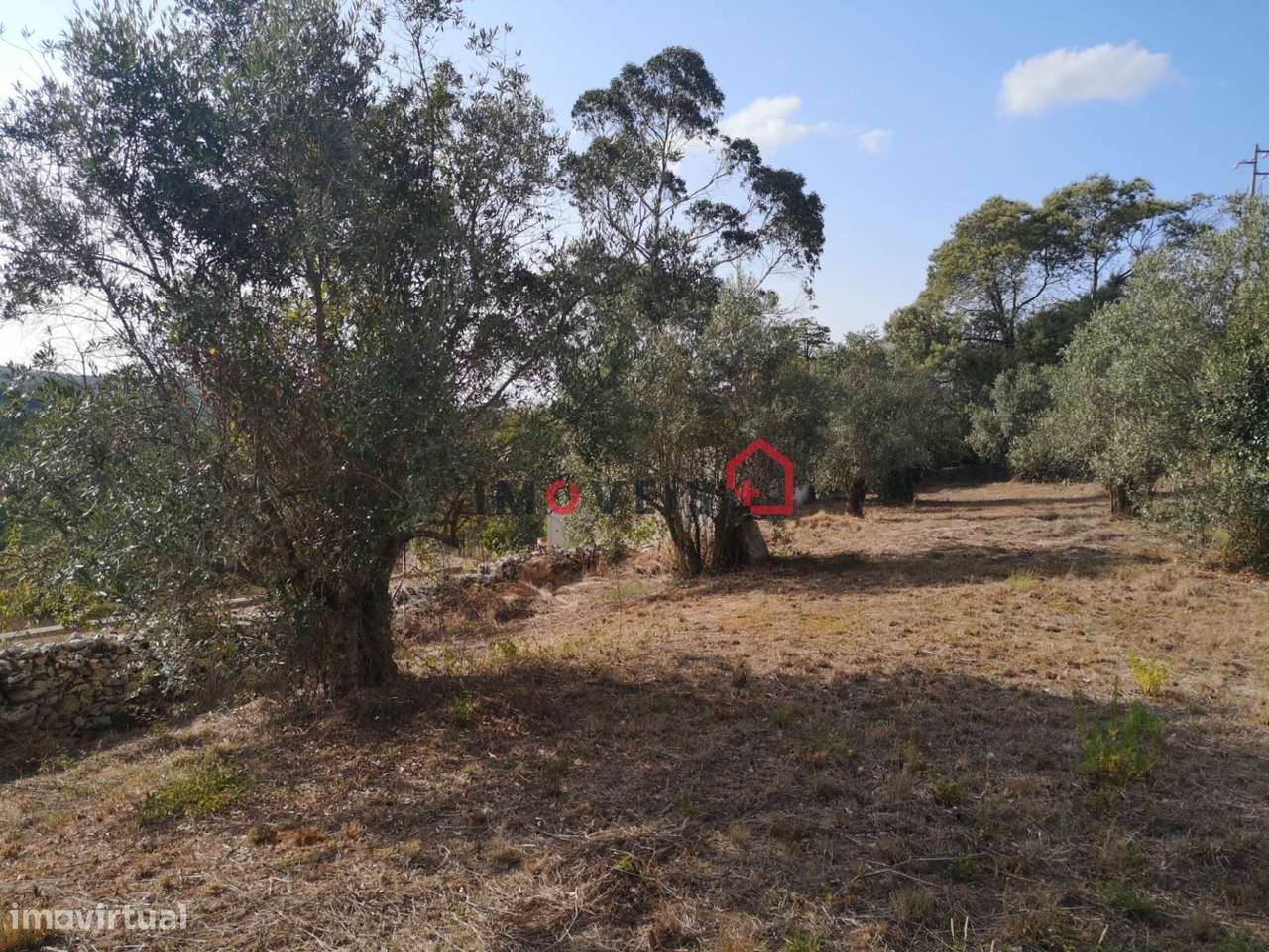 Terreno | Construção| Chainça-5