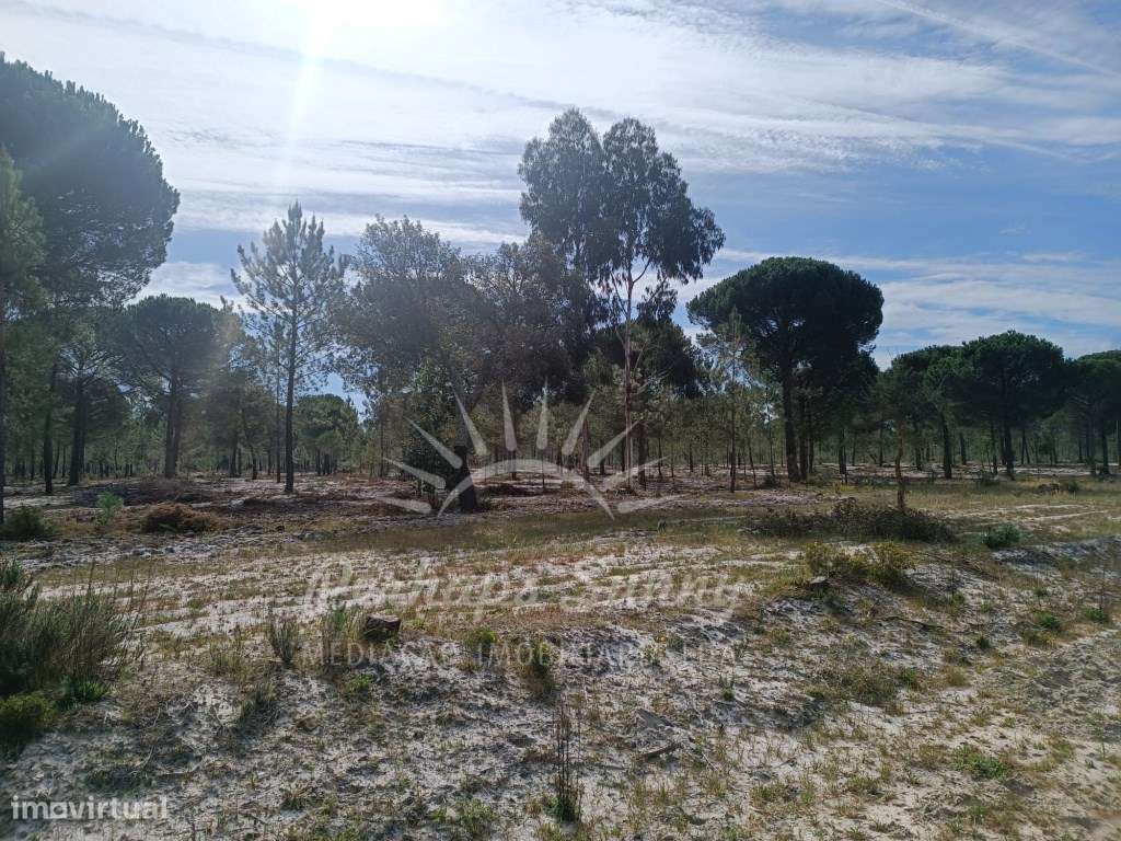 Herdade Bicas - Comporta-23