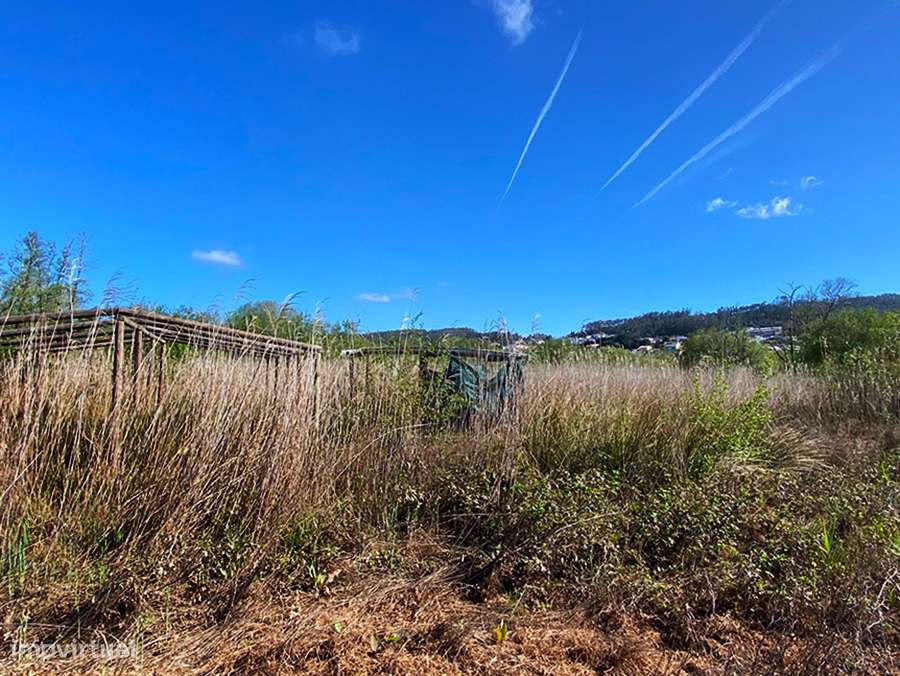 Terreno rústico plano, furo de água local tranquilo, luminoso, Maiorga - Grande imagem: 4/14
