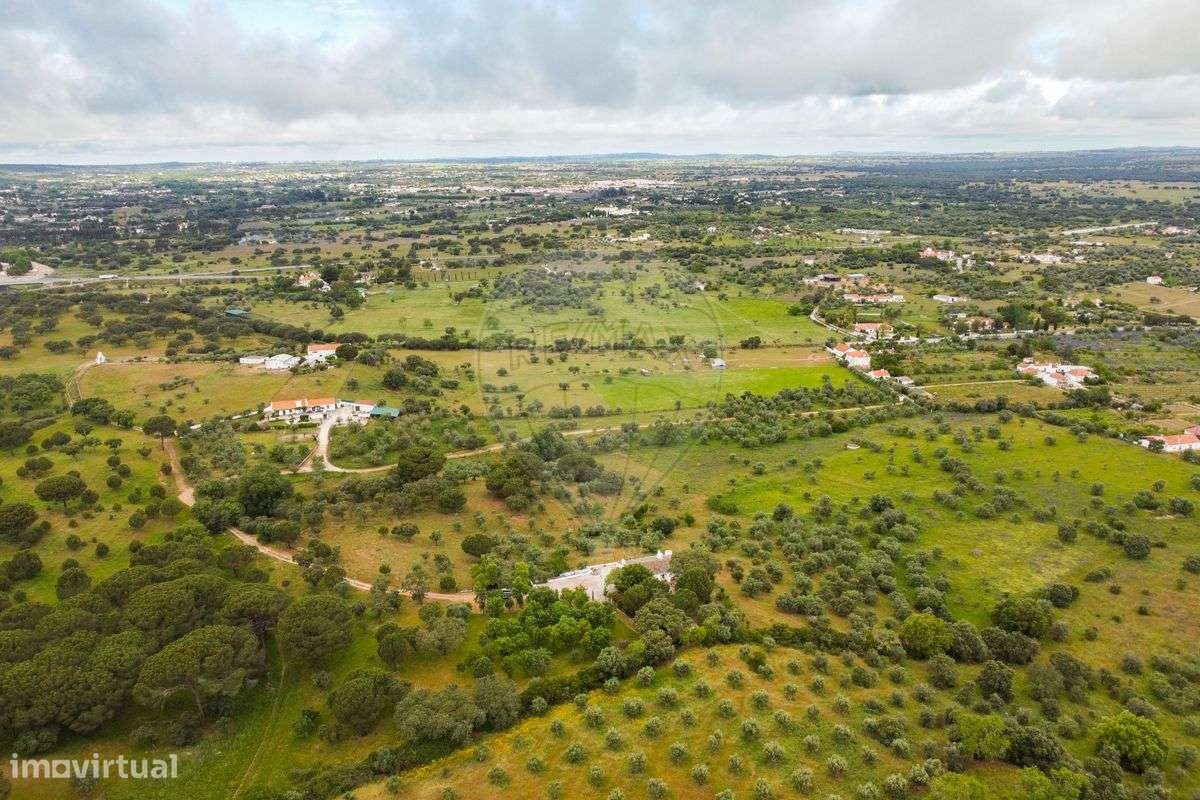 Quinta T8 para venda-24