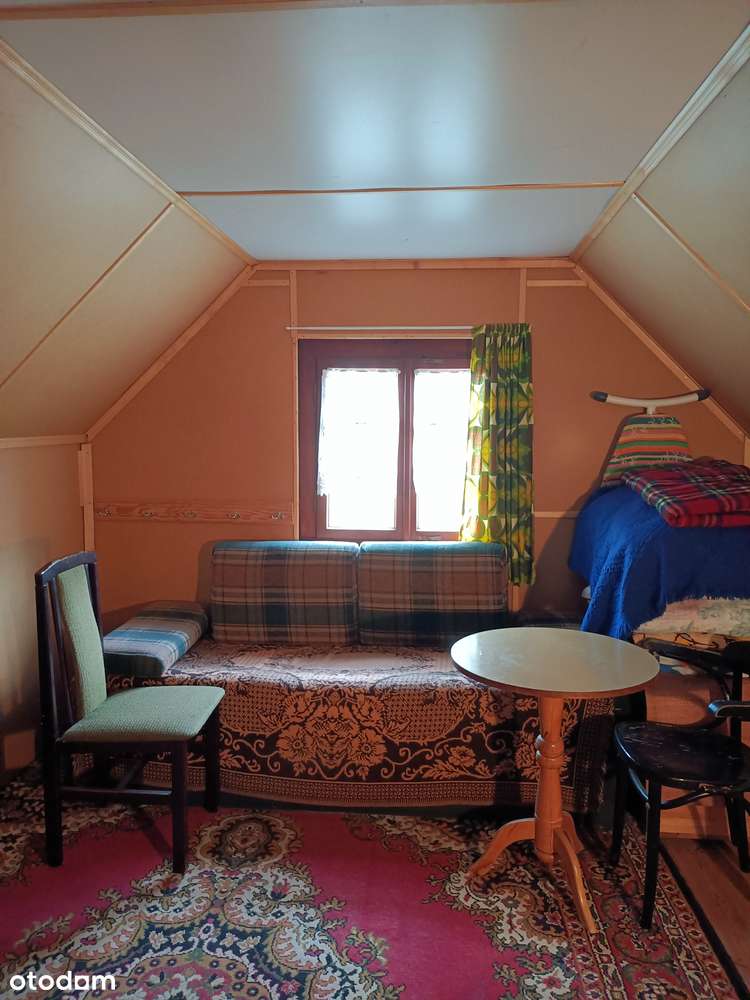 WYJĄTKOWA DZIAŁKA REKREACYJNA Z GOTOWYM DOMKIEM – BLISKO WARSZAWY! - Pełny obrazek: 4/5