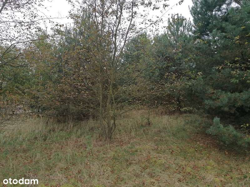 Działka w Przechodzie-0