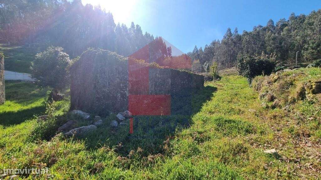 Quinta, Gondiães - Grande imagem: 4/29