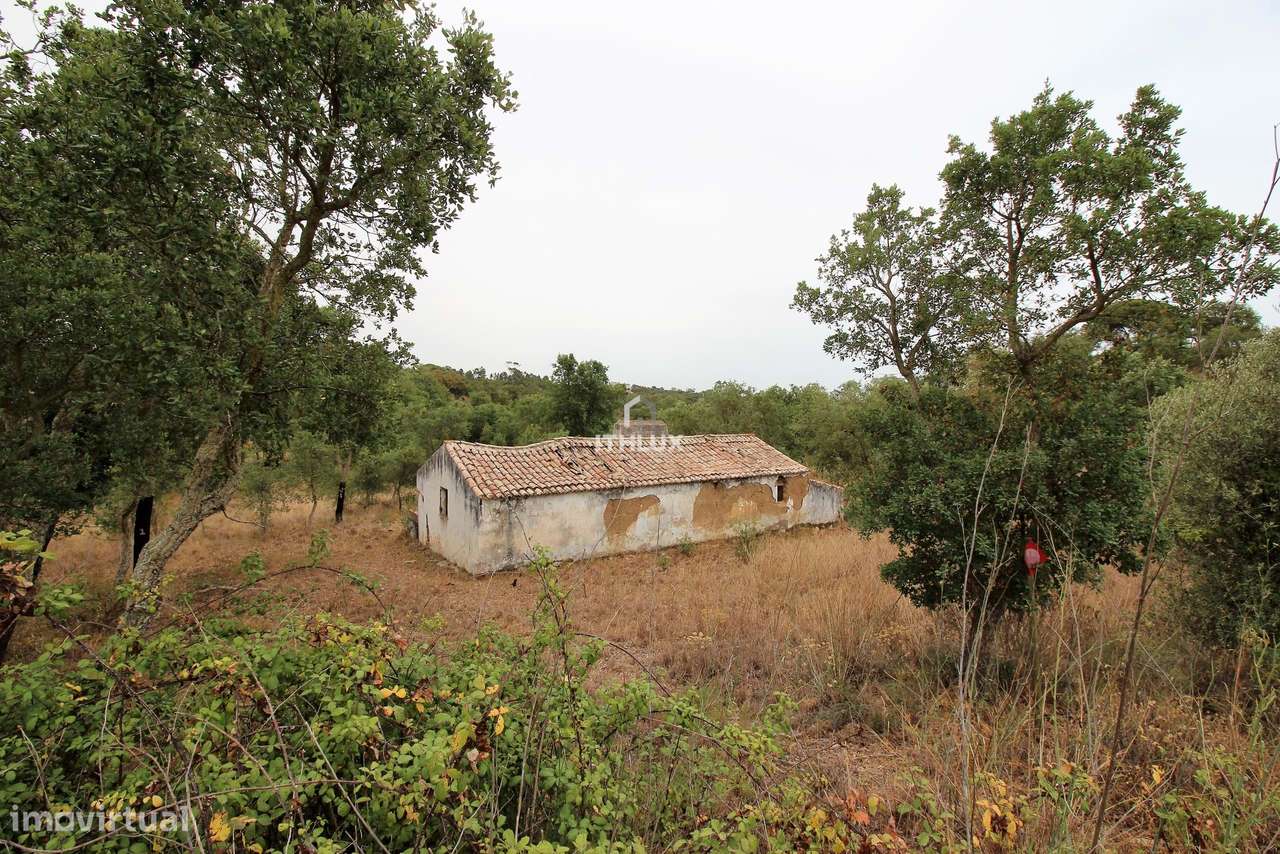 Propriedade Rural em São Francisco da Serra com 9,875000 ha e vista ma - Grande imagem: 4/40