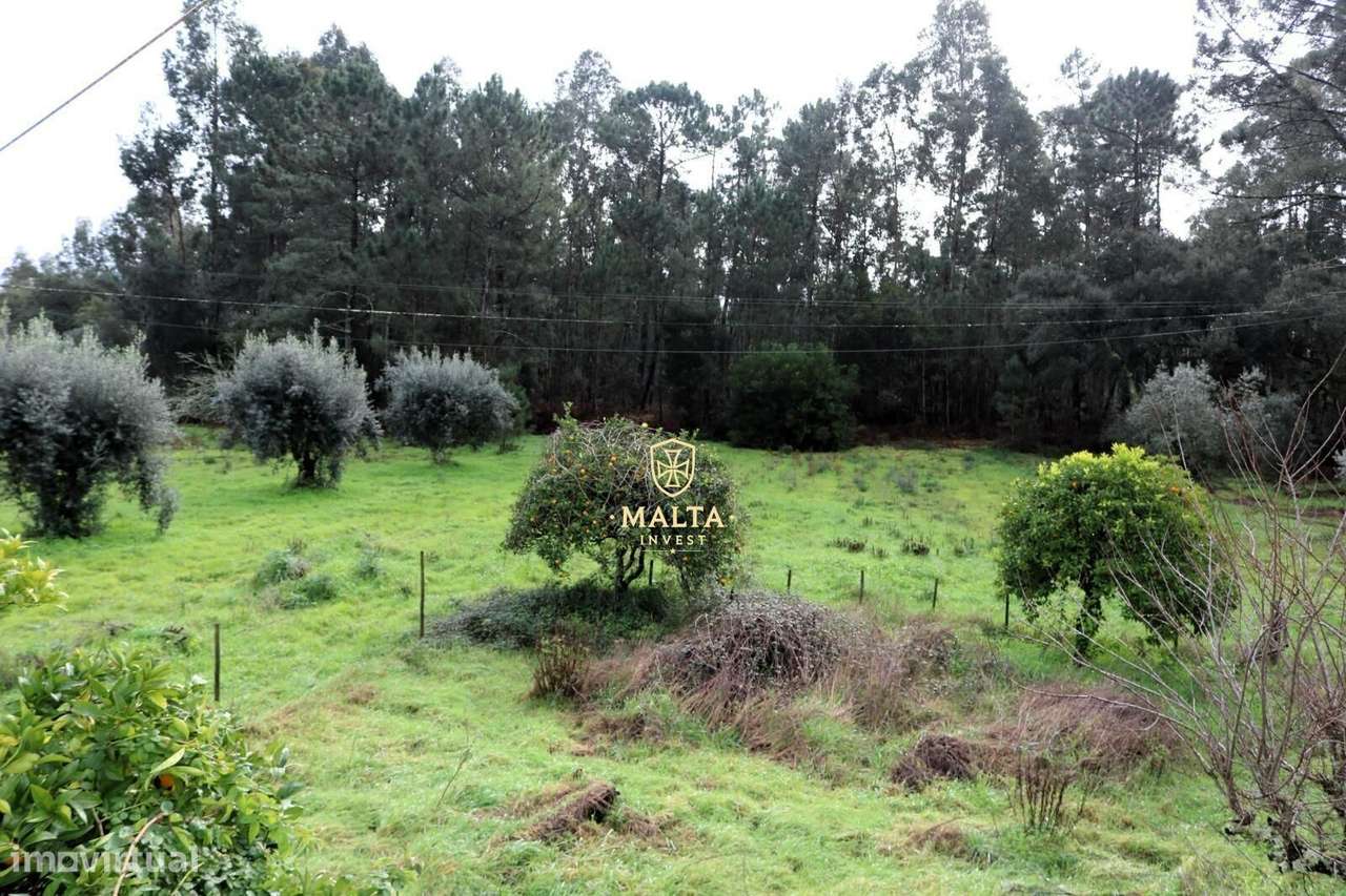 Moradia Isolada na Mealhada – Oportunidade Única, Pronto Pagamento-12