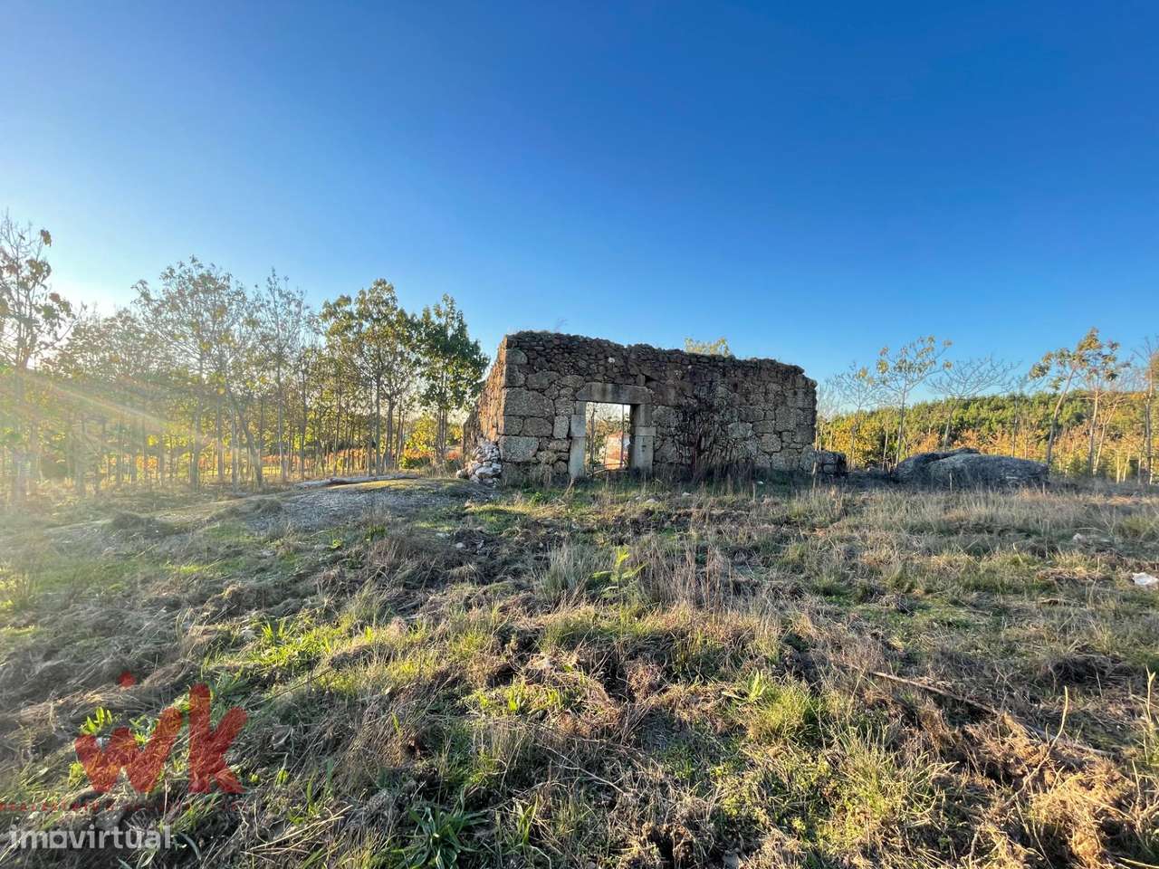 Terreno Rústico 10.800 m2 – Plano, Com Ruína e Excelentes Acessos - Grande imagem: 3/12