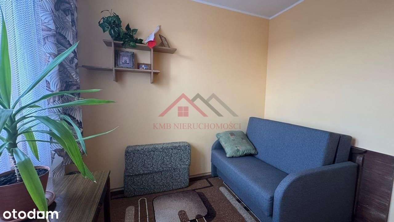 Funkcjonalny układ, oddzielna kuchnia, piwnica, pa - Pełny obrazek: 4/19