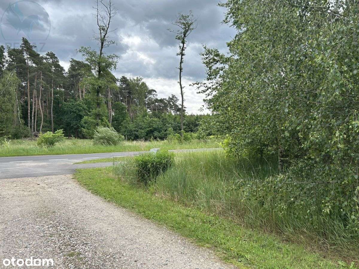 Działki Budowlane Słupia k. Stęszewa-4