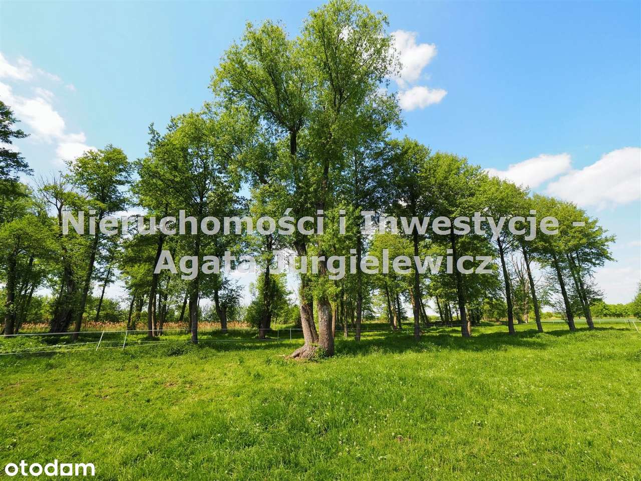 Agroturystyka, stadnina koni, gospodarstwo rolne! - Pełny obrazek: 4/18