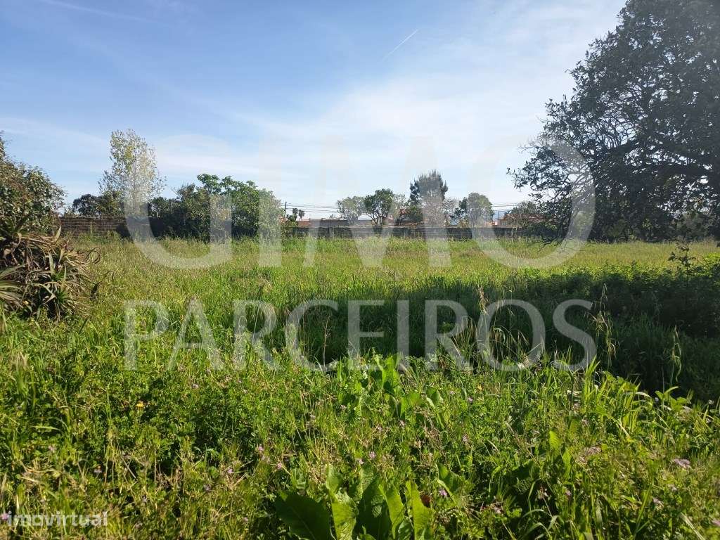 Moradia T3+Terreno-25