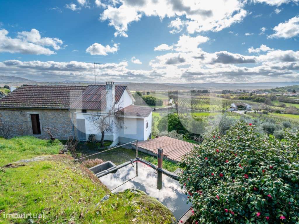 Quinta T2 com Habitação, Infraestruturas Agrícolas e Terreno com Vi...-15