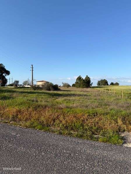 Terreno Biscainho - Grande imagem: 4/4