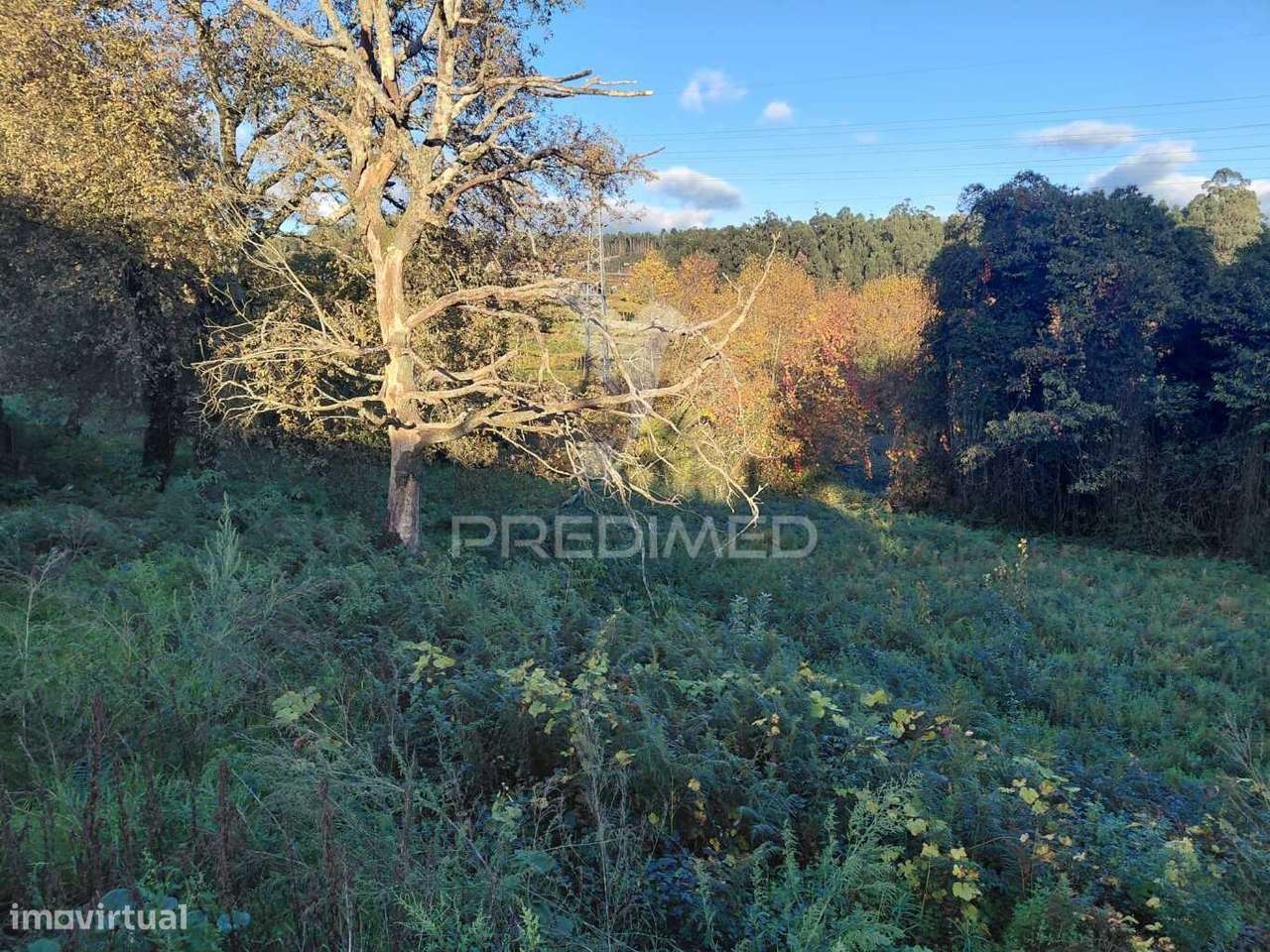 Terreno misto em Friande - Grande imagem: 5/5