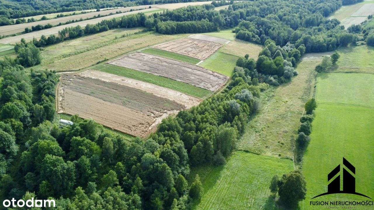 Urokliwa działka z potencjałem | 7842 m² | Łubno, - Pełny obrazek: 5/20