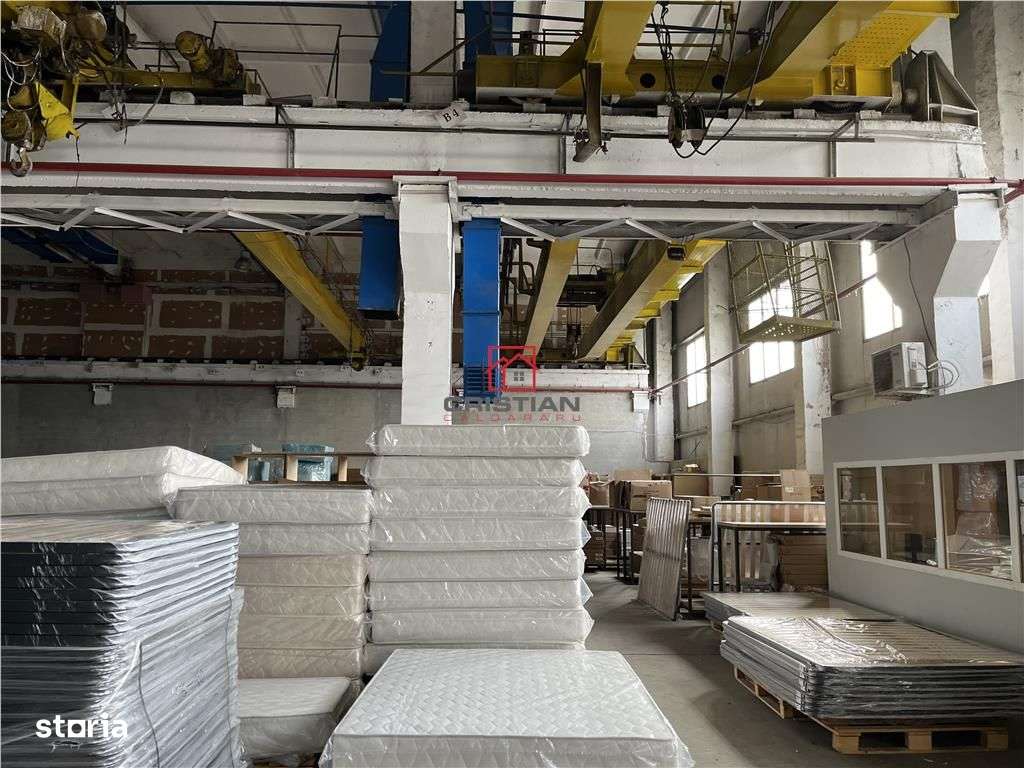 Vanzare haladepozitspatiu industrial Basarabia - Faur-4