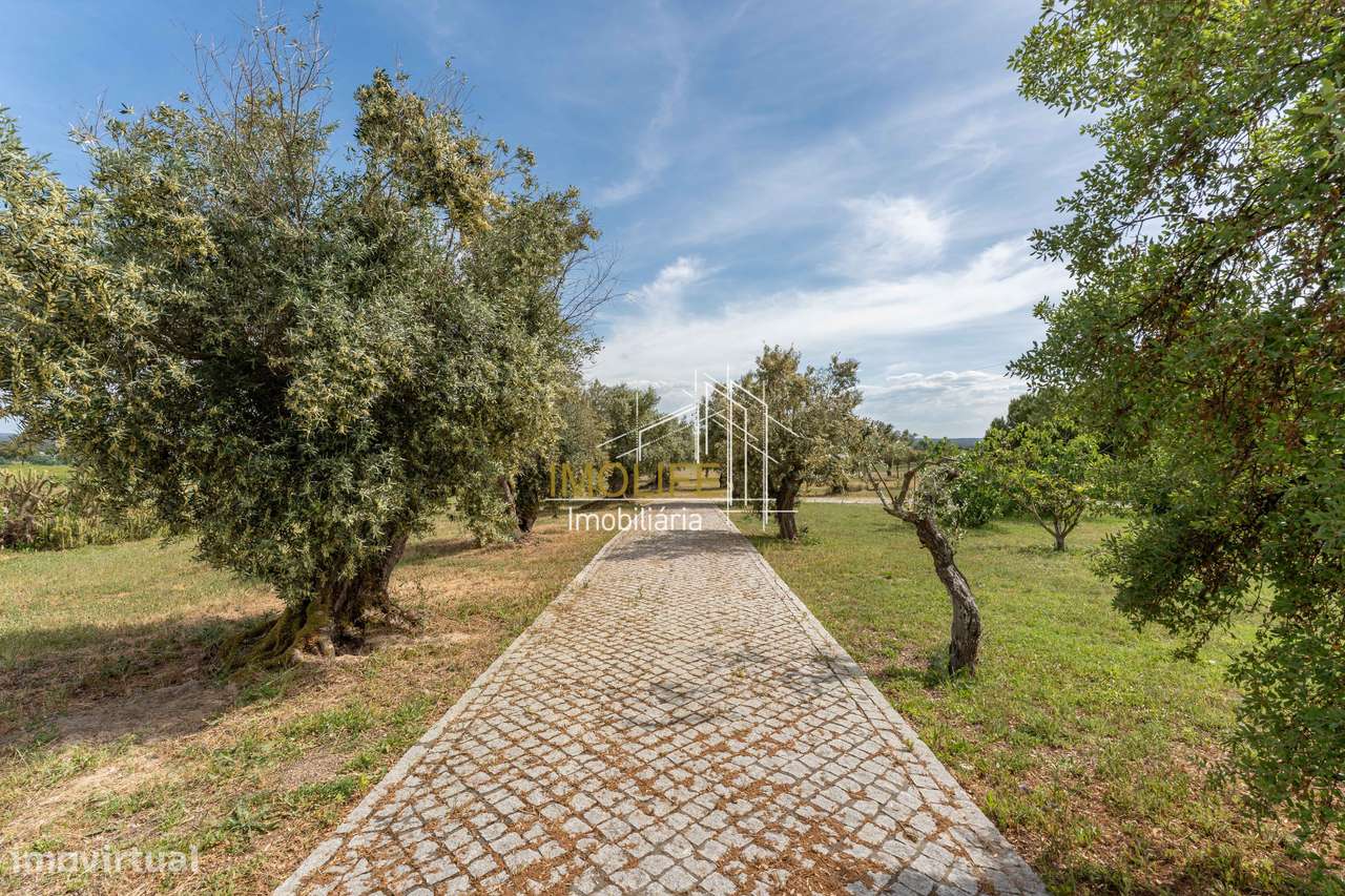 Quinta em Pavia com piscina e com duas habitações independentes ✨-8