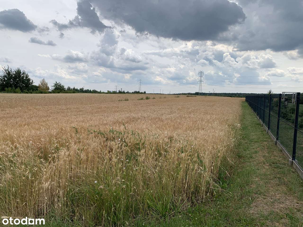Duża działka nieopodal Warki z możliwością podzielenia na mniejsze - Pełny obrazek: 4/5