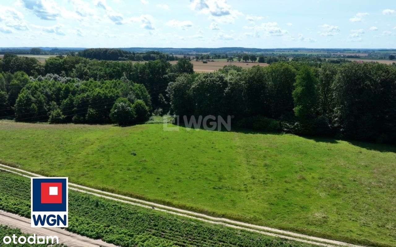 Sprzedam Malowniczą Działkę 0,61 ha w Krępie Kaszu - Pełny obrazek: 5/10