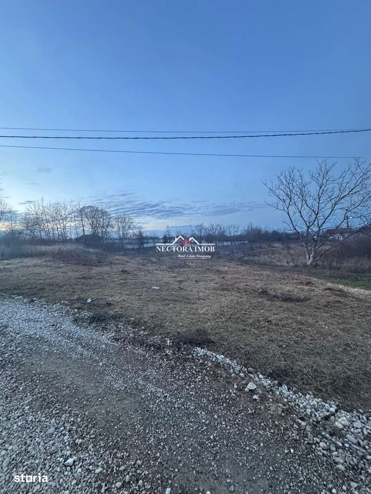 NECTORA IMOB-Teren Intravilan 647 mp, Dublu Front, Paleu, cu Utilitati - Imagine principală: 3/7