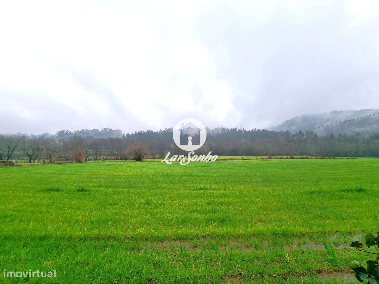 Quinta em Barcelos - Grande imagem: 4/29