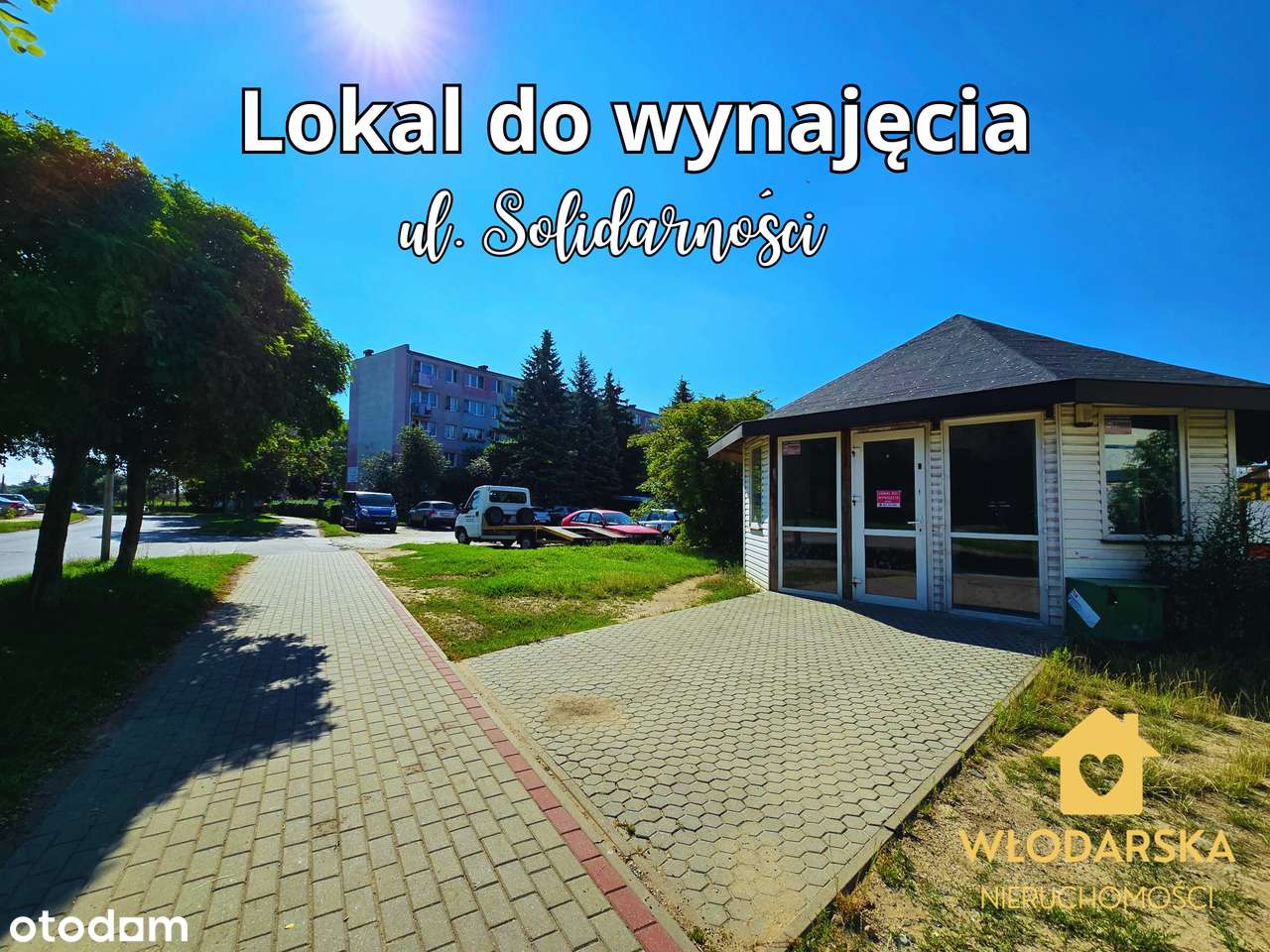 Lokal do wynajęcia | 40 m2 | ul. Solidarności | witryny | przy osiedlu - Pełny obrazek: 1/15