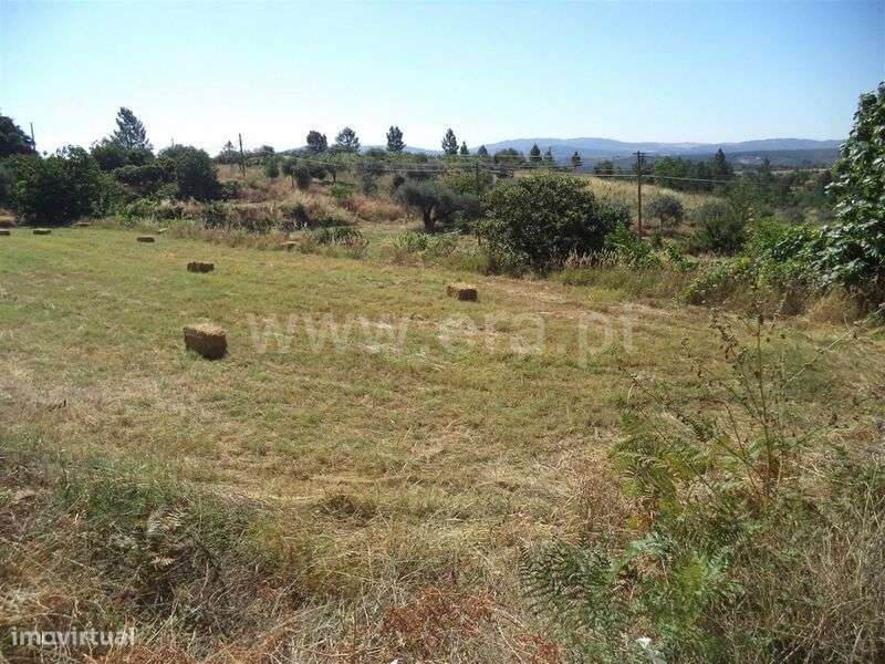 Quinta / Fundão, Pêro Viseu - Grande imagem: 4/7