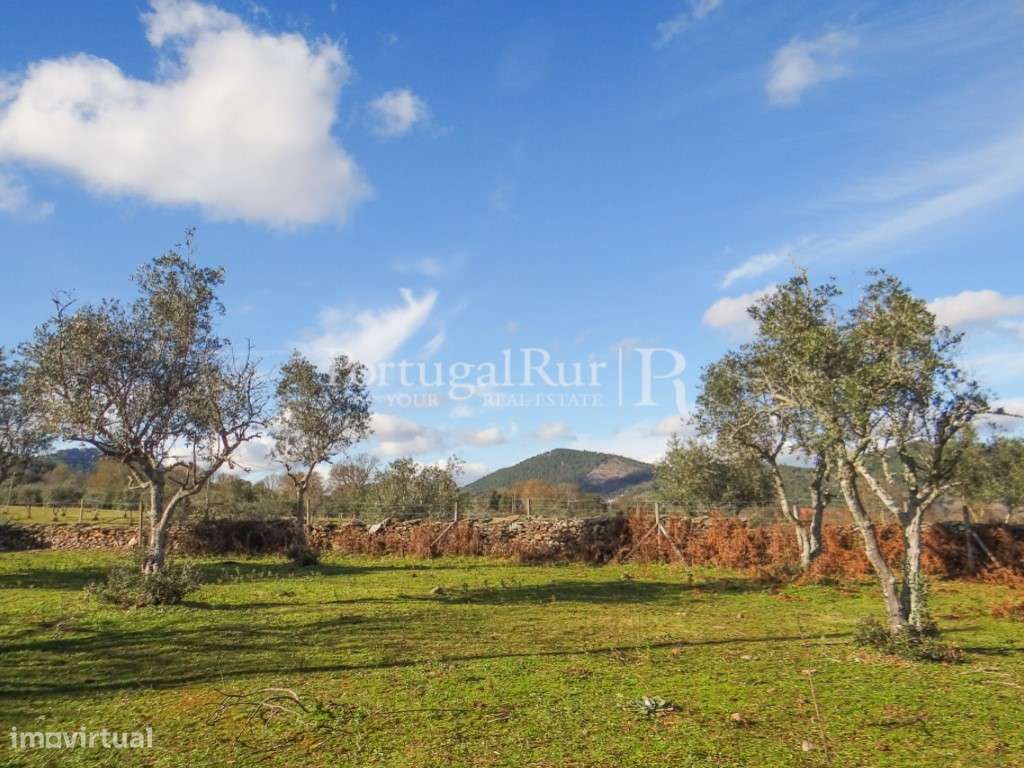 Quinta de 9 hectares em Marvão - Grande imagem: 4/45