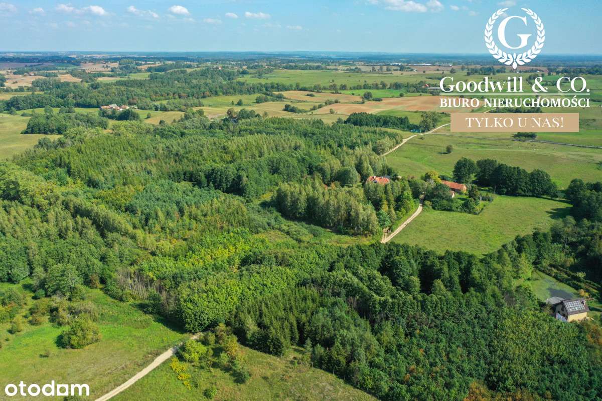 Piękna działka 700m od jeziora! - Pełny obrazek: 3/16