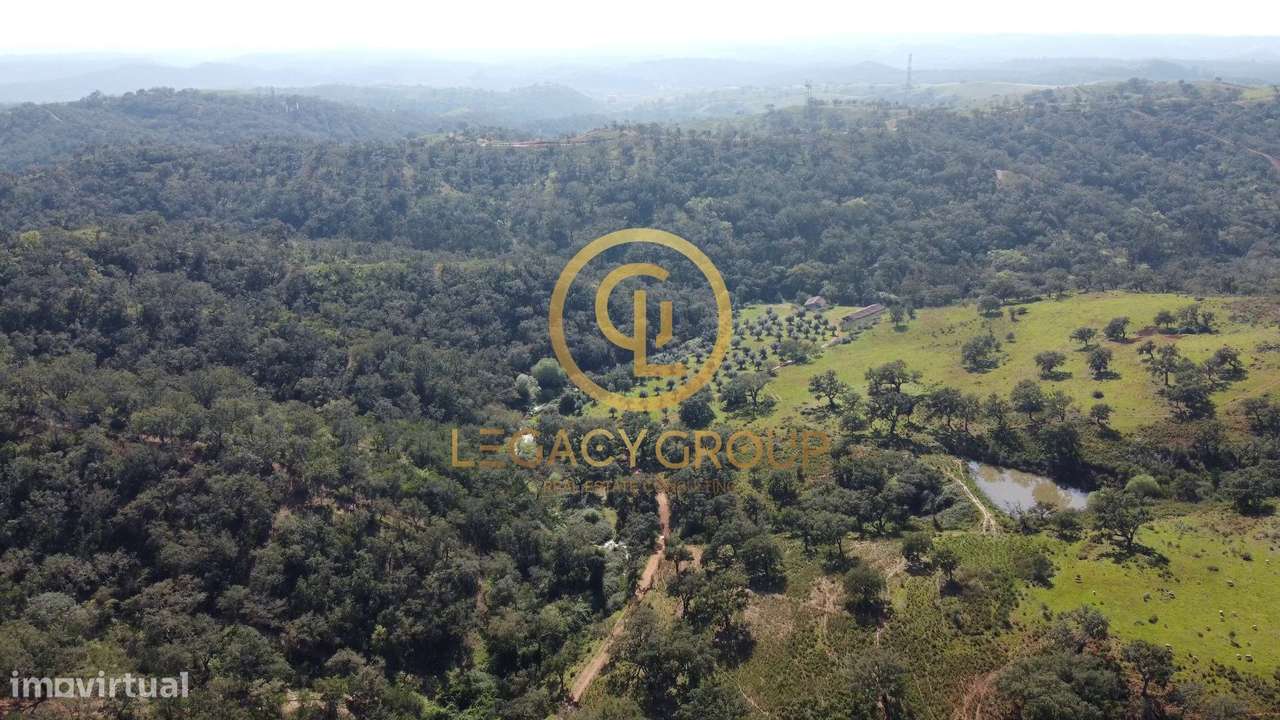 Herdade de 60 ha em Odemira - Grande imagem: 4/47