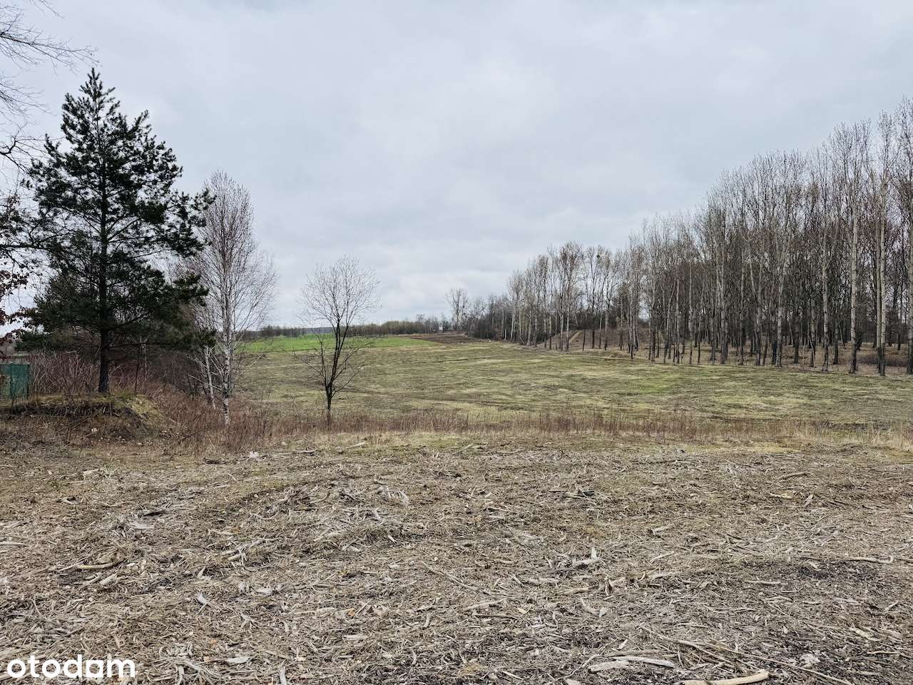 Działki pod halę magazynowo/produkcyjną 2km od A1 węzeł Bytom - Pełny obrazek: 4/4