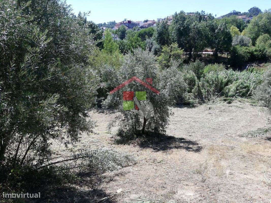 Terreno T3 Venda em Amiais de Baixo,Santarém - Grande imagem: 4/11