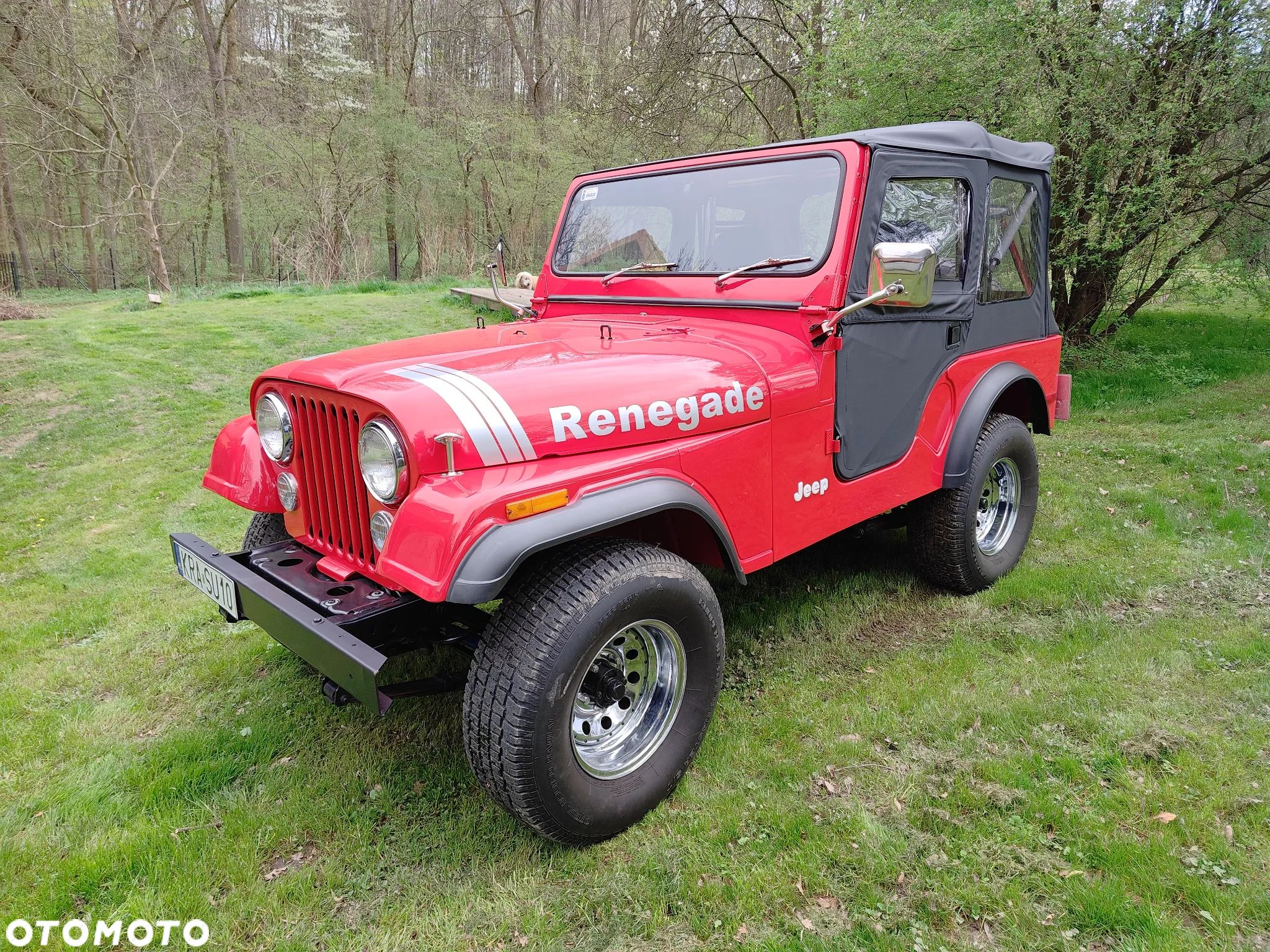 Jeep CJ - 1