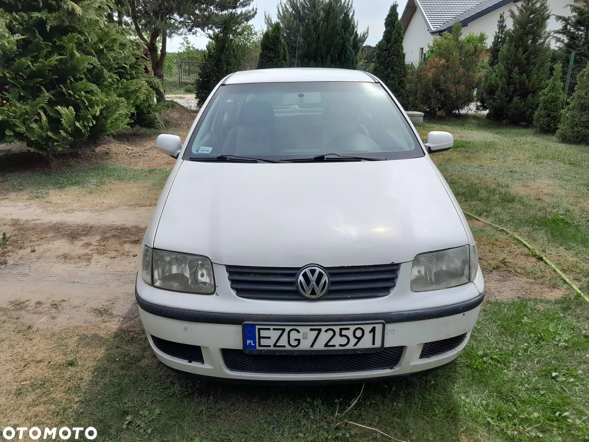 Volkswagen Polo 1.0 Basis - 1