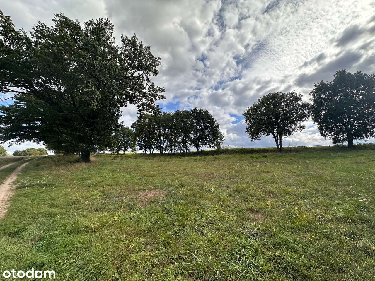 Atrakcyjna działka budowlana przy lesie, wieś Śrem k.Sierakowa-7