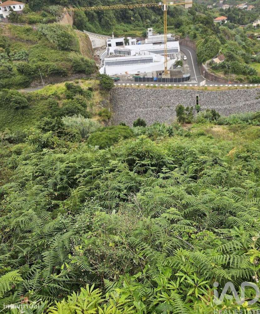 Terreno em Porto da Cruz de 610,00 m2 - Grande imagem: 5/11