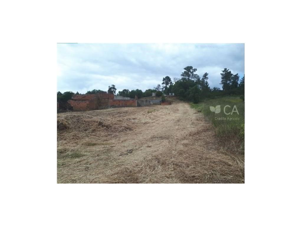 TERRENO AGRÍCOLA C/ POÇO NA ARRUDA DOS PISÕES, RIO MAIOR