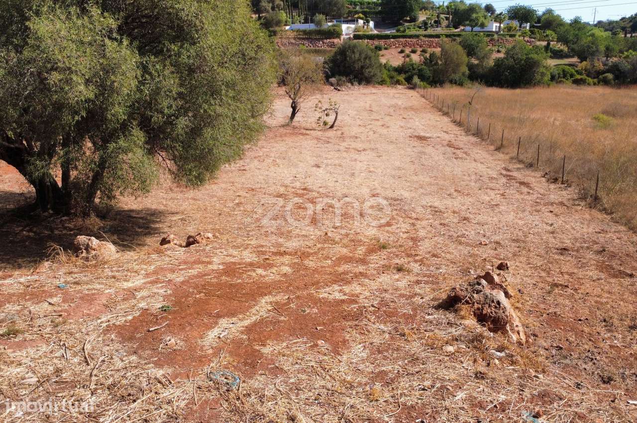 Terreno Urbanizável, São Clemente, Loulé - Grande imagem: 5/15