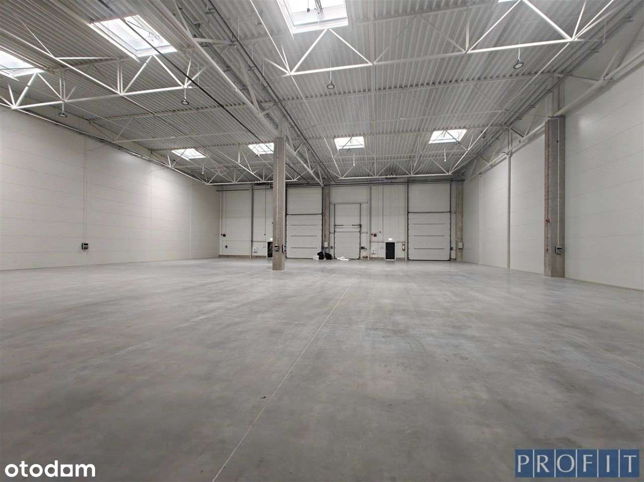998m2 magazyn /produkcja h-8m doki/poziom 0 - Pełny obrazek: 4/8
