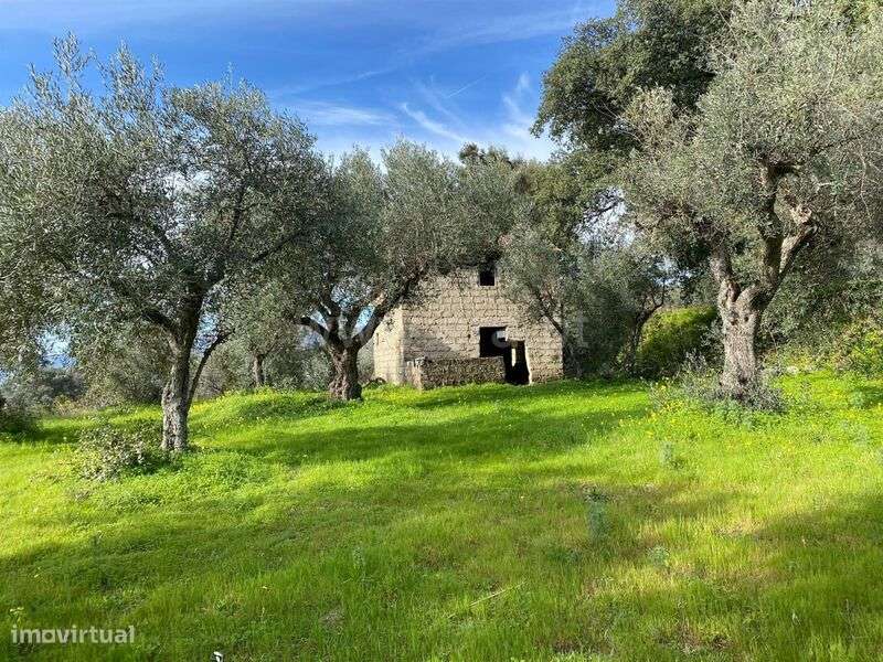 Quintinha / Fundão, Monte Leal - Grande imagem: 5/13