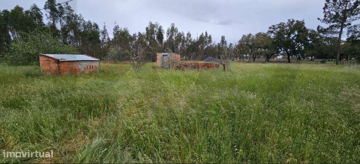 Quinta para Reconstrução a 25 Min das Praias da Comporta - Grande imagem: 3/21