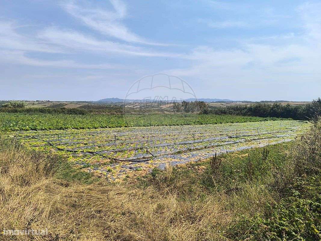 Terreno  para venda-12