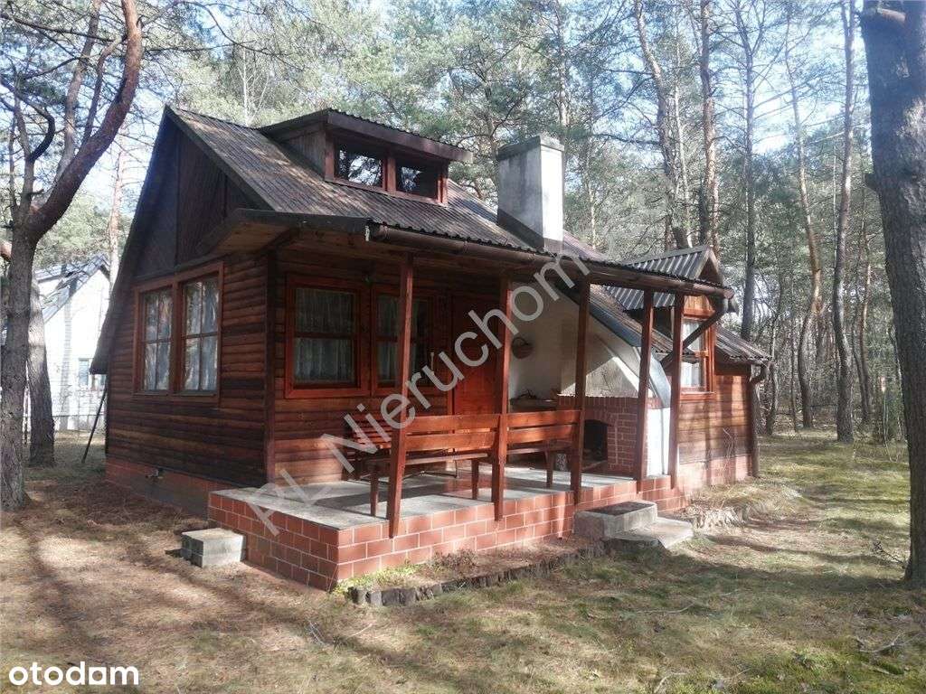Dom letniskowy wśród lasów w gminie Dobre-0